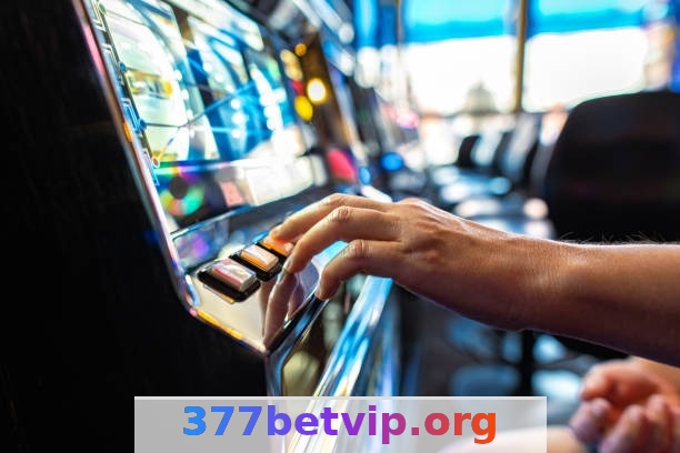 377bet - Termos de Uso: Guia Completo e Transparente 3 Imagem ilustrativa